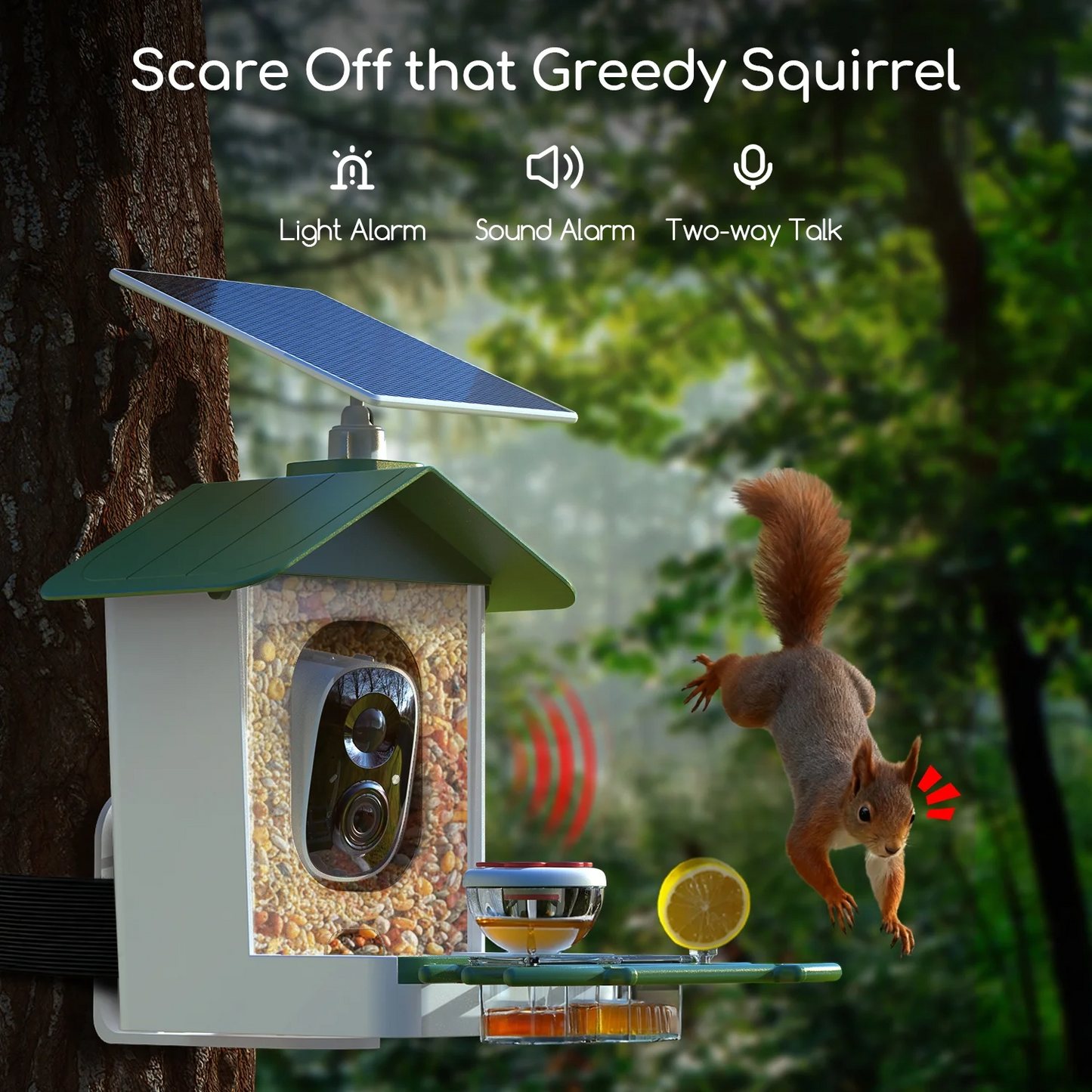 MEHOOM 3K UHD Smart Bird Feeder with Camera, Solar Powered Outdoor Bird House Cam, 5MP HD Live View, Instant Notifications, Identifies 11,000+ Bird Species, Perfect Gift for Bird Lovers