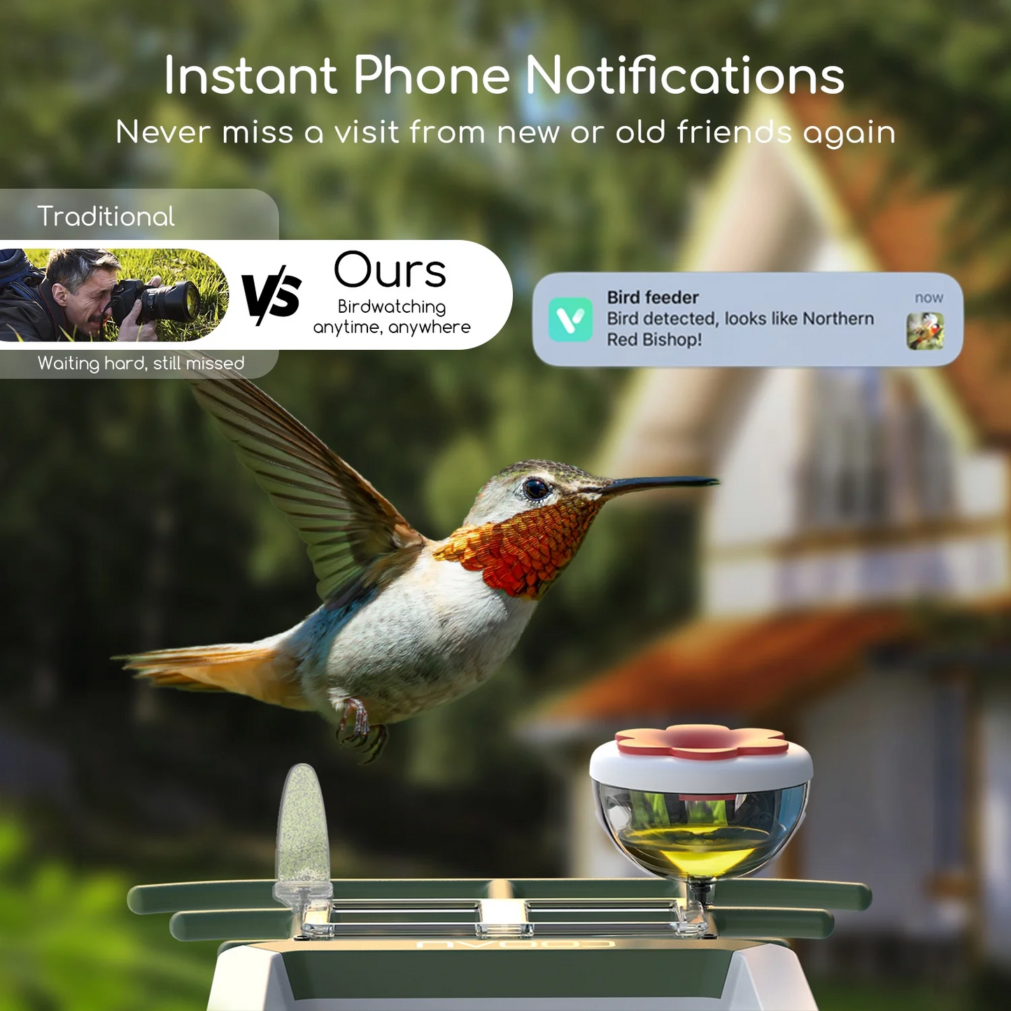 MEHOOM 3K UHD Smart Bird Feeder with Camera, Solar Powered Outdoor Bird House Cam, 5MP HD Live View, Instant Notifications, Identifies 11,000+ Bird Species, Perfect Gift for Bird Lovers