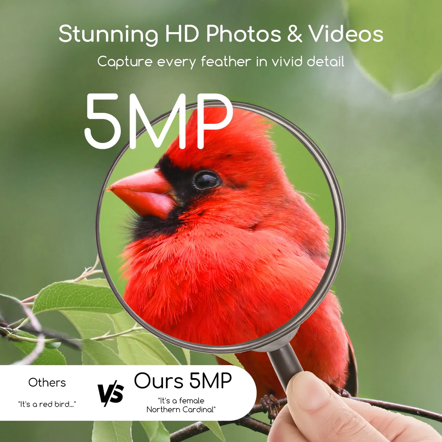 MEHOOM 3K UHD Smart Bird Feeder with Camera, Solar Powered Outdoor Bird House Cam, 5MP HD Live View, Instant Notifications, Identifies 11,000+ Bird Species, Perfect Gift for Bird Lovers