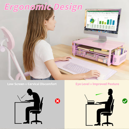 MEHOOM Desk Organizer, 2-Tier Monitor Stand with Storage and 2 Pen Holder, Laptop Stand, Office Desk Accessories for Office Supplies, Pink